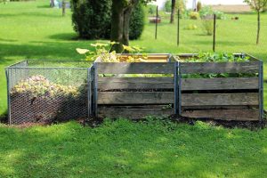 organic compost