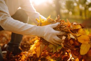 Clear leaves and debris during winter