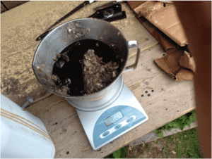 adding water in fish fertilizer