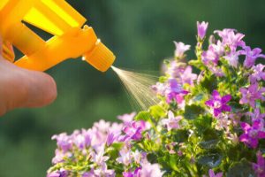 liquid Fertilizer for Flowers